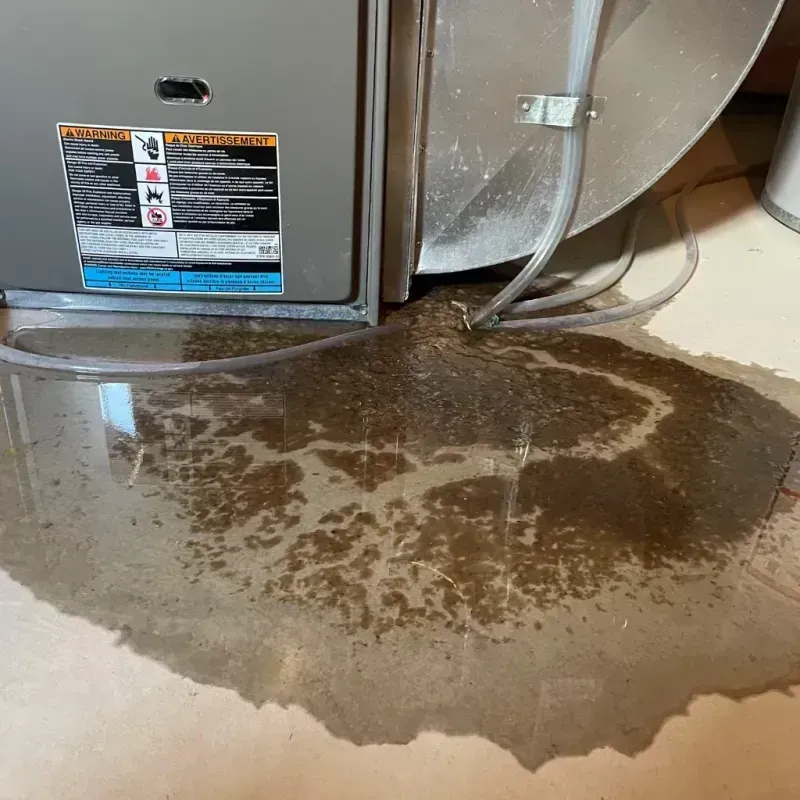 Appliance Leak Cleanup in Lake Lorraine, FL